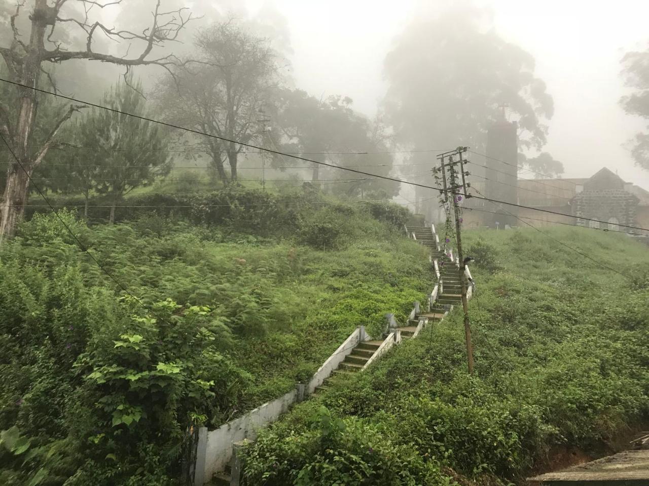 Bellmount Resorts Munnar Exteriör bild